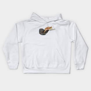 Toad rode on a broom Kids Hoodie